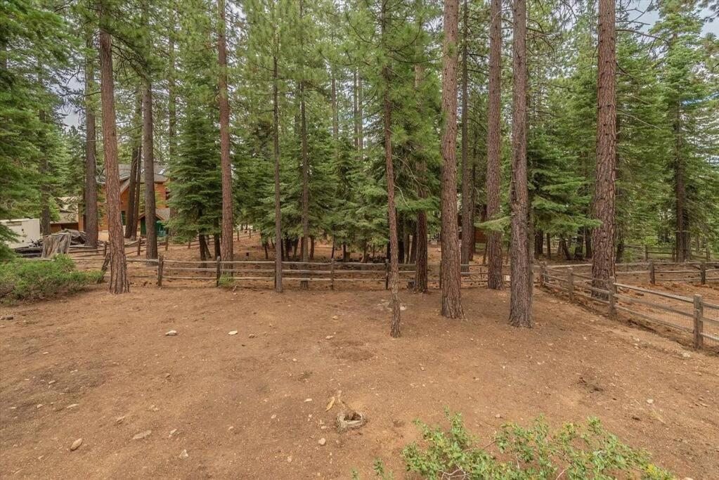 Cozy Pet-Friendly Cabin W Fenced-In Yard Close To Slopes Beach Town Carnelian Bay Exterior foto